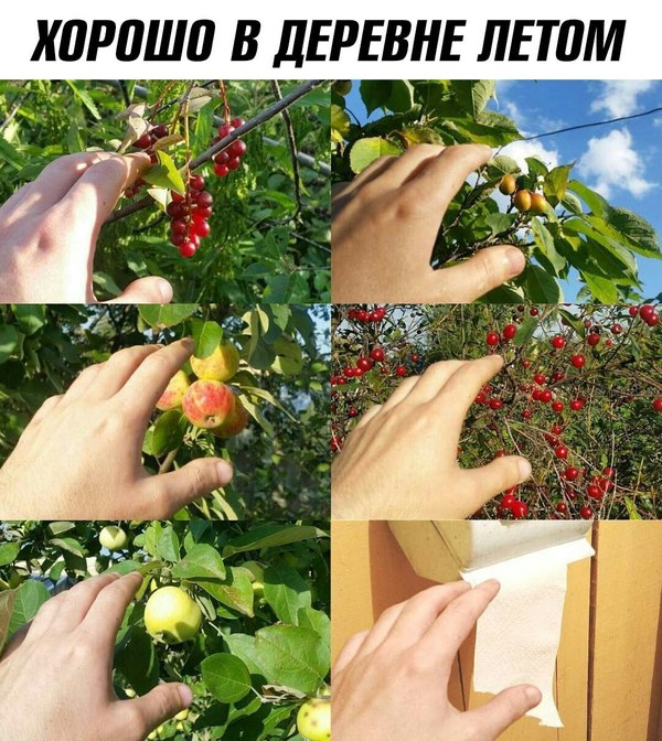Немного картинок в это воскресенье