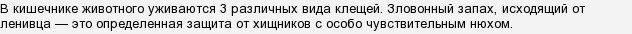 Они точно не с этой планеты!