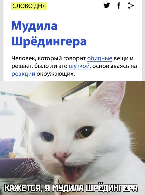 Кот шредингера что