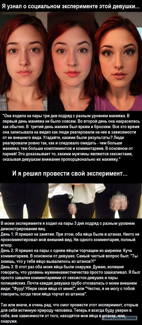Эй, уважаемый, ну а где же яйца? Терпение, спокойствие, сейчас они появятся