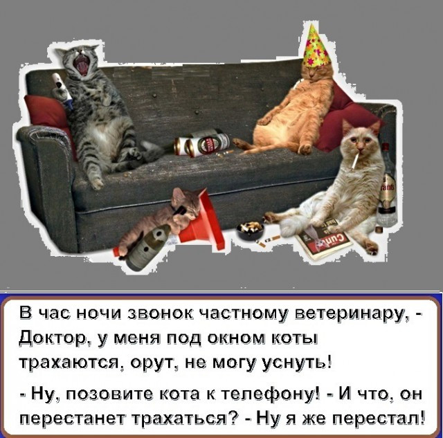 Фотки и картинки: юморные и красивые, забавные и милые 18.09.20