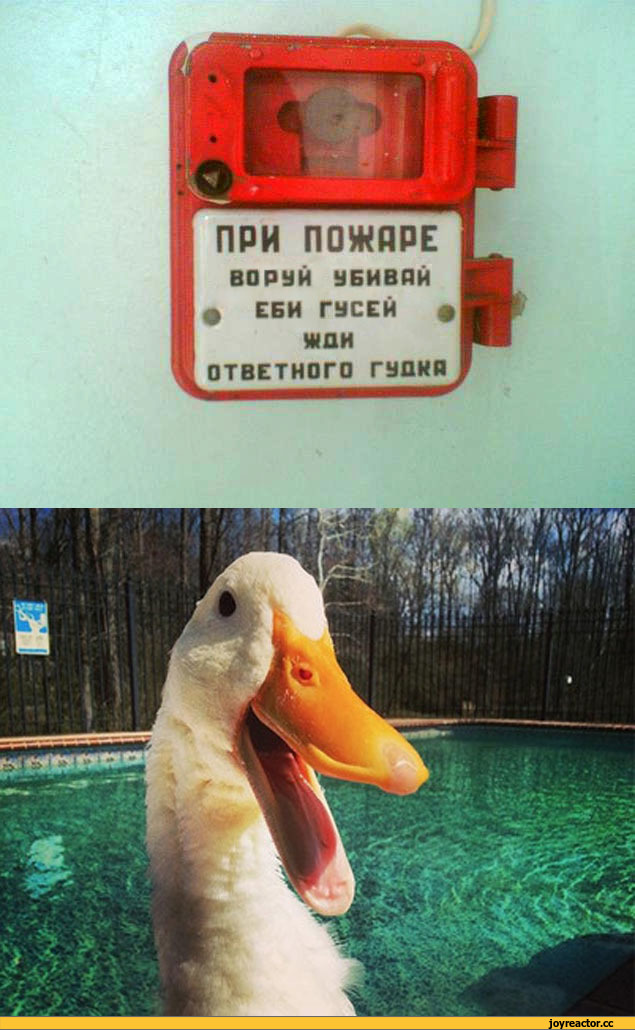 Любовь зла
