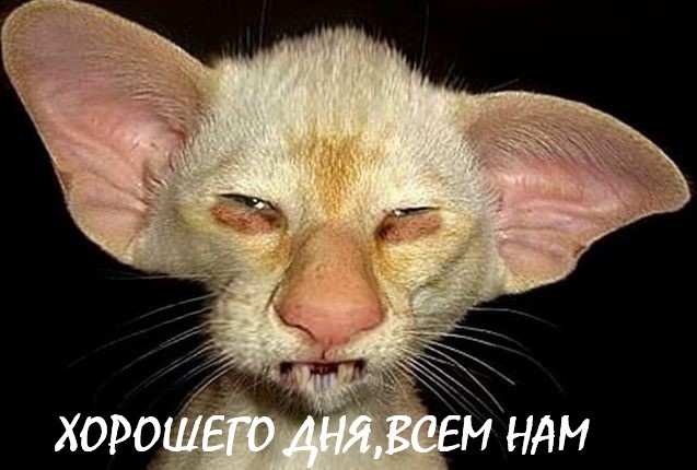 Фу, пошлятина одна