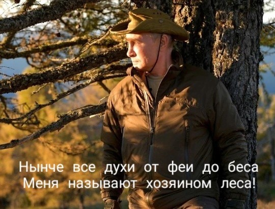 Хозяин тайги. Почему отдых Путина раздражает народ