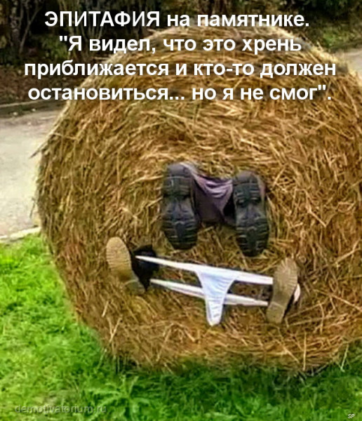 Картинки и мемы, всем прекрасных выходных