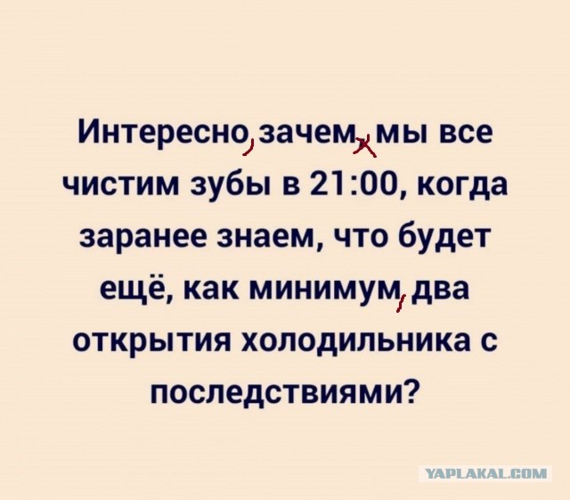 Баянисто-небаянистый юмор 23.12.21