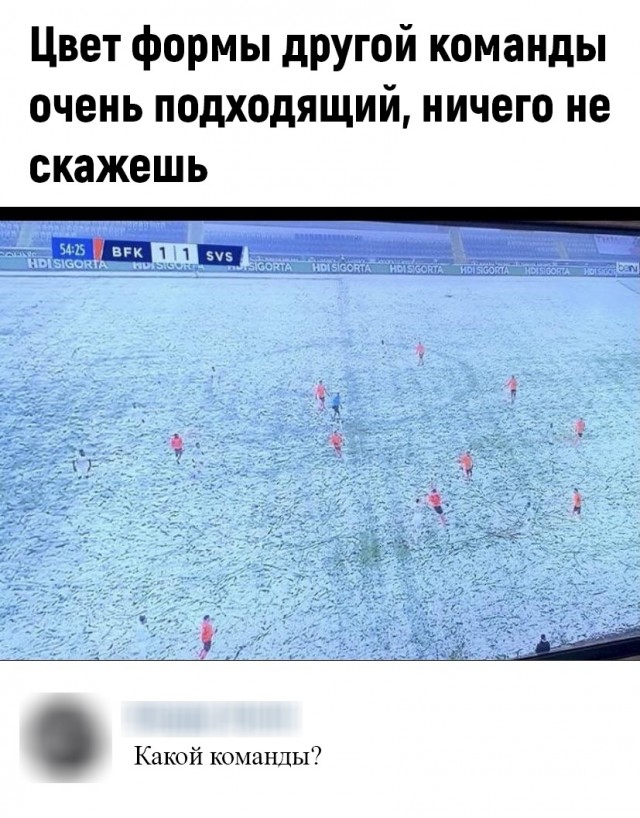 Человек собаке друг и другие картинки и мемы  под настроение