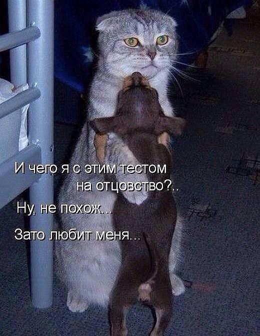 Воскресенье. Вечер. Картинки для зарядки позитива на понедельник