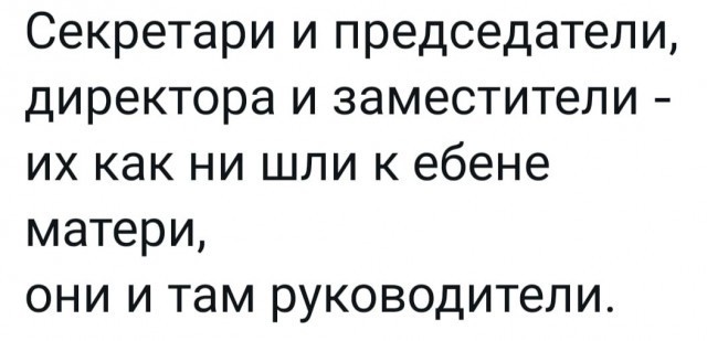 Весёлый полтишок 21.12.2022
