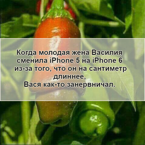 Пошлый вечер вторника