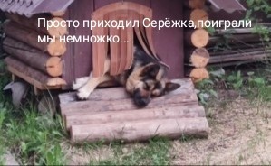 Умаялась