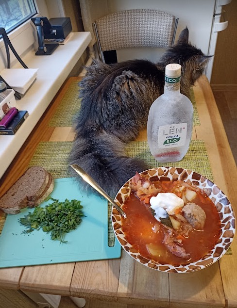 Дзен-котизм