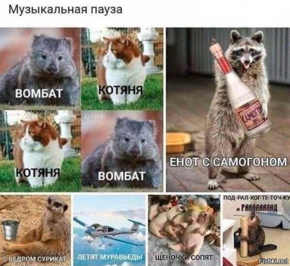Всего понемногу. От 18.12.23