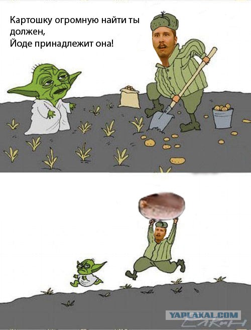 Мой друг нашел картошку!