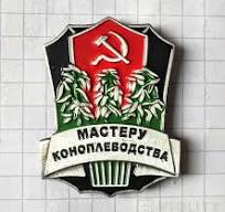 Сепер растение