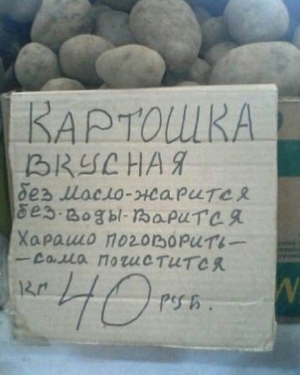 Хорошо, когда отдохнул на природе