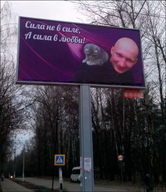 Надписи, объявления и прочая дичь