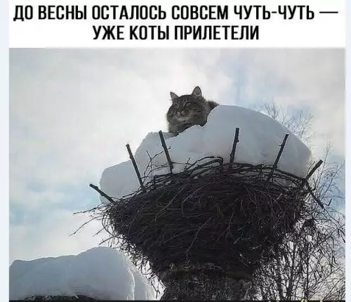 Картиночки, баянчики 02 марта