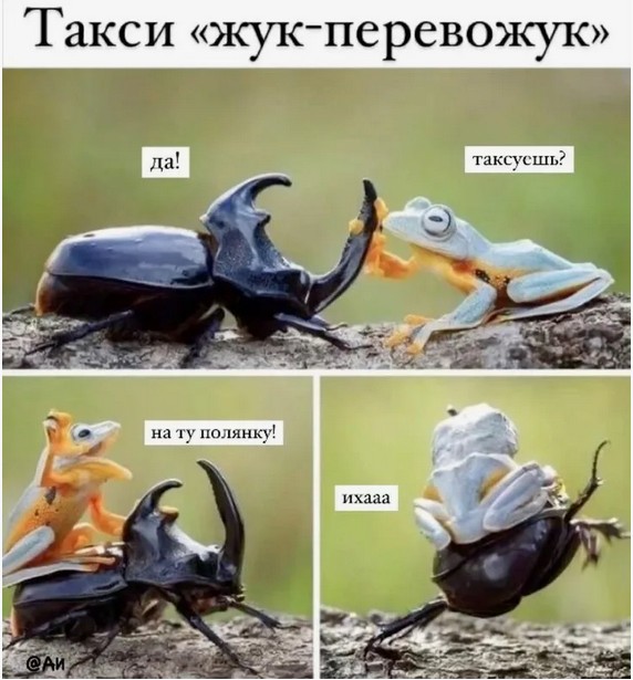 Жук-такси