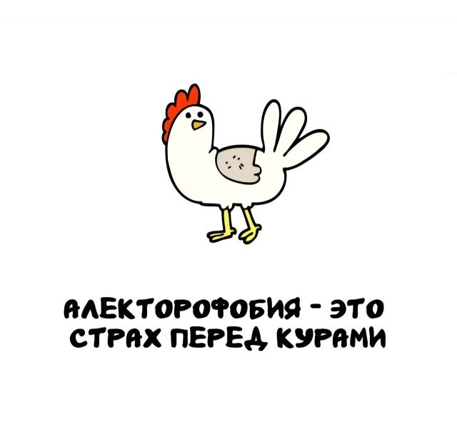 Интересные и короткие факты, на все случаи жизни