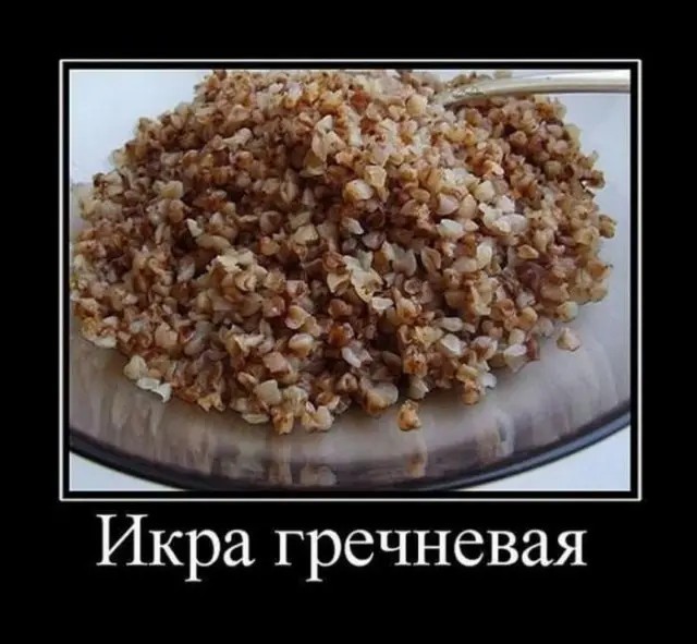 Картинки для деградации 299 (разной степени свежести)