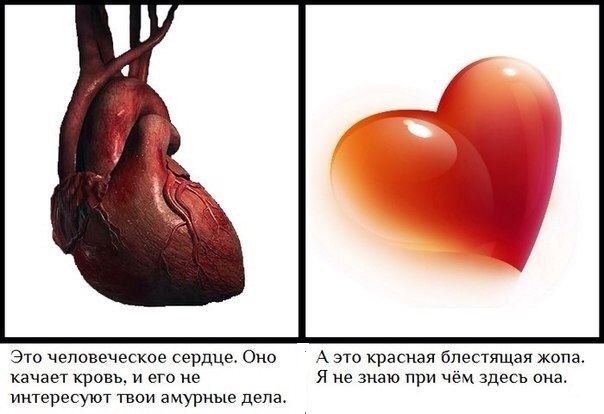 Хотел испечь пирог в виде сердца
