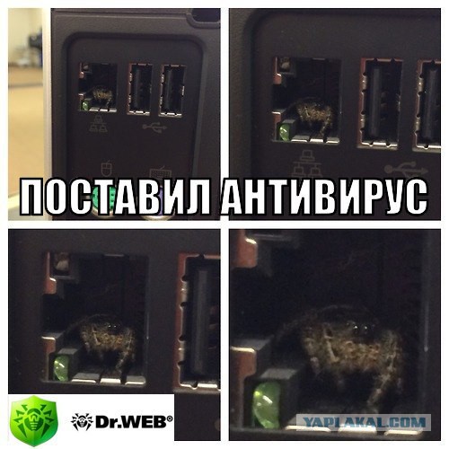Свежие картинки из сети