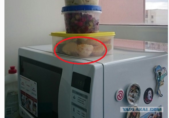 Жена собрала обед на работу