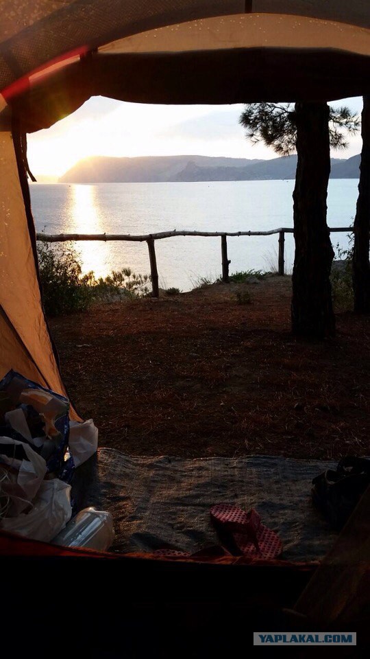 Подборка интересных и веселых фото