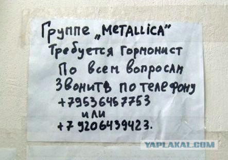 Прикольные надписи и объявления