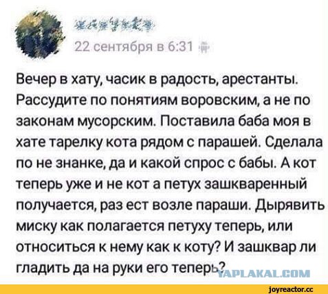 В плену несовпадений. Лагерные хроники