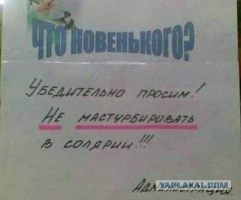 Весёлые картинки