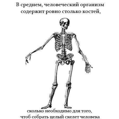 Подслушано в палате № 6