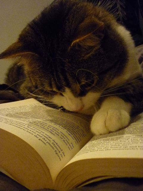 Детская книга-бестселлер, переведенная на 20 языков