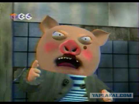 Прирученный кабан в Польше пропал на неделю и вернулся домой пьяным