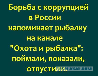 Светлана Бузукина и меха МВД. Главбух сдаёт весь питерский ГЛАВК