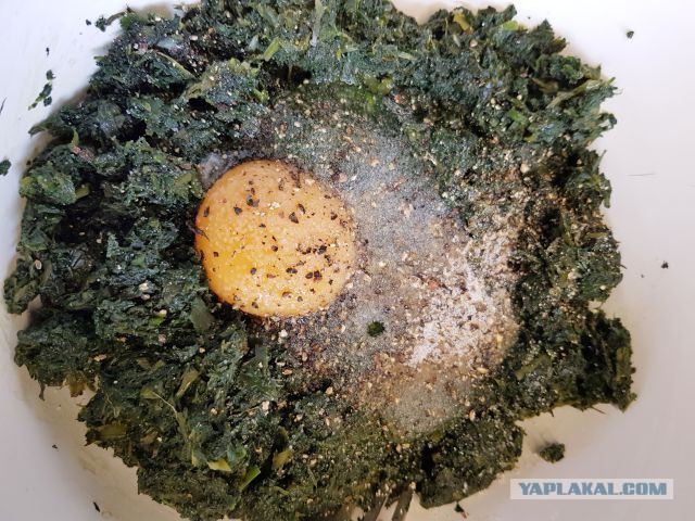 Кулинары поздравляют ЯП с днём рождения!