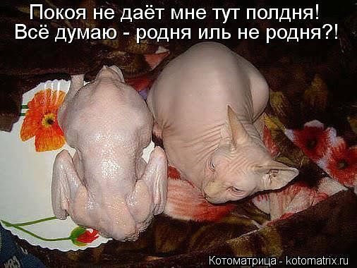 Как я привез домой голую женщину