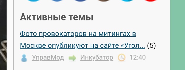 Фото провокаторов на митингах в Москве опубликуют на сайте «Уголовка»