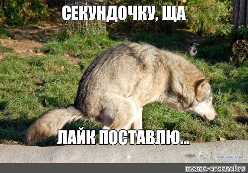 Большое выступление Путина по ситуации с коронавирусом. Прямая трансляция