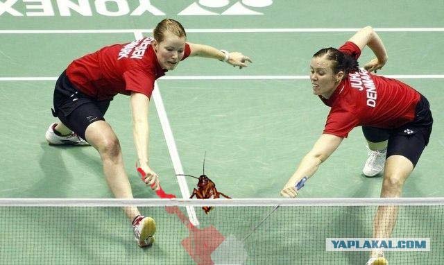 Бадминтон (Жабы)