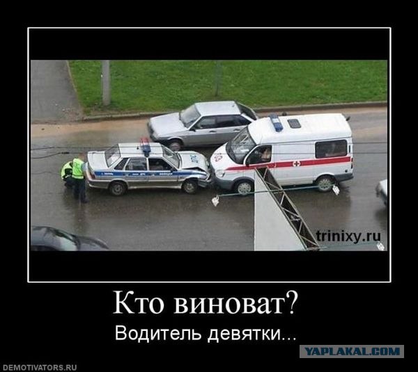 Озверевшее дорожное быдло, 18+