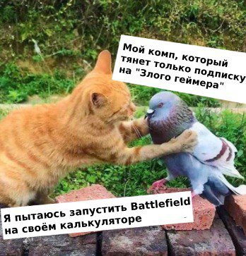 Всяческие картинки