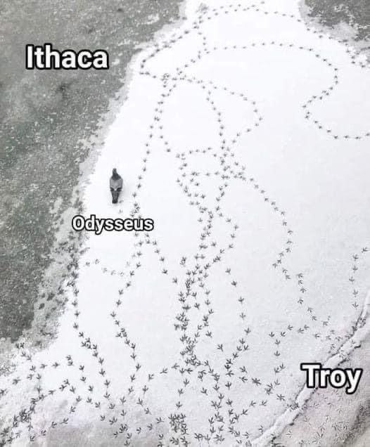Норвежский король