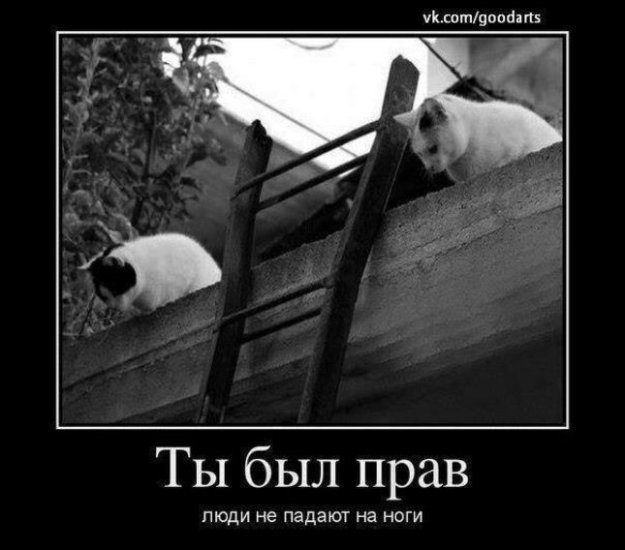 Весёлый полтишок 10.01