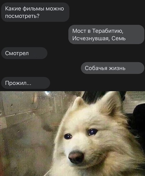Картинки и мемы для настроения  - 31