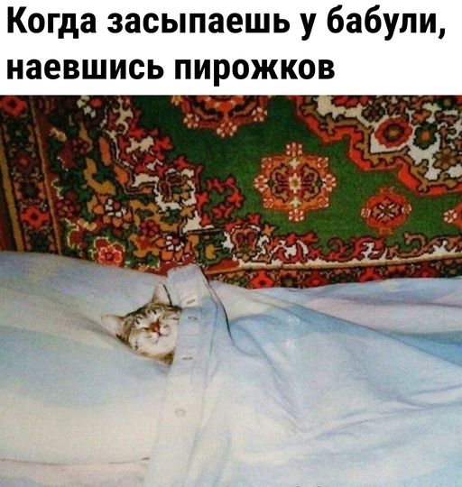 Картинки и мемы, всем хороших выходных