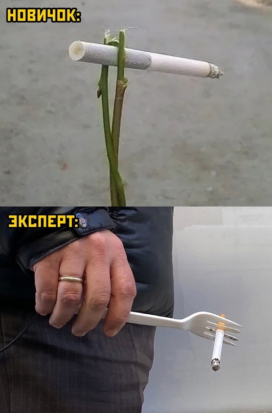 Картинки и мемы для настроения - 123