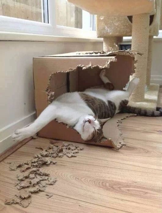 Такой маленький, а уже белорус