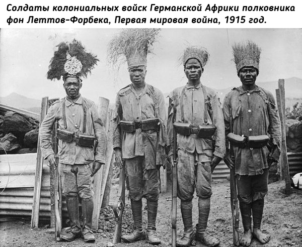 Небольшая подборка исторических фото (07.11)